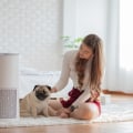 Stop Dust Fast: 18x24x1 HVAC and Furnace Air Filter for Home Solves Air Quality Issues